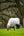 IT04129_lifestyle_kudosshowerproflyrug_grey_9