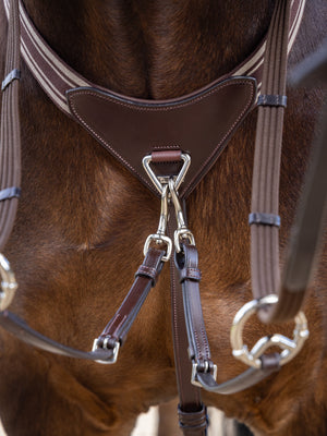 IT04293_lifestyle_arikaelasticatedbreastplate_havanasilver_1
