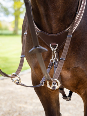IT04293_lifestyle_arikaelasticatedbreastplate_havanasilver_2