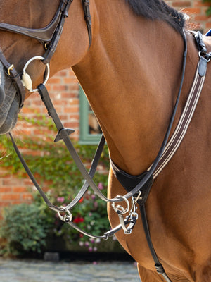 IT04294_lifestyle_arikaelasticatedbreastplate_brownsilver_1