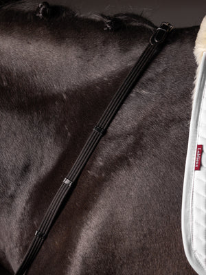 IT04405_lifestyle_webbedcontinentalreins_blacksilver_1