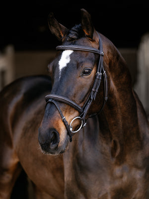 Bridon Flash Classique Arika LeMieux - Marron - mise en situation