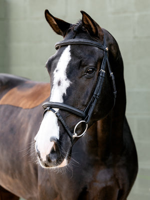 Bridon Flash Classique Arika LeMieux - Noir - mise en situation