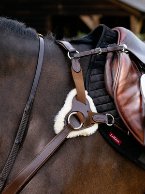Collier de Chasse Bridge 5 Points Kudos LeMieux - Havane - mise en situation