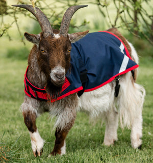 Manteau pour Chèvre Horseware® 0g