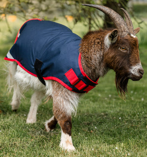 Manteau pour Chèvre Horseware® 0g