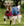 Manteau pour Chèvre Horseware® 200g