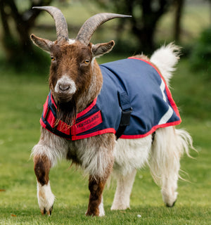 Manteau pour Chèvre Horseware® 200g