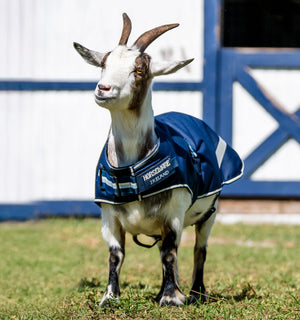 Manteau pour Chèvre Horseware® 200g
