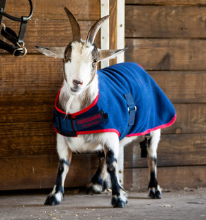 Couverture Polaire pour Chèvre Horseware®