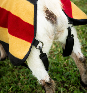 Polaire pour Chèvre Horseware® Newmarket