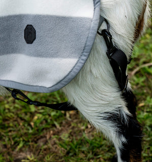 Polaire pour Chèvre Horseware® Newmarket