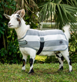 Polaire pour Chèvre Horseware® Newmarket