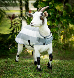Polaire pour Chèvre Horseware® Newmarket