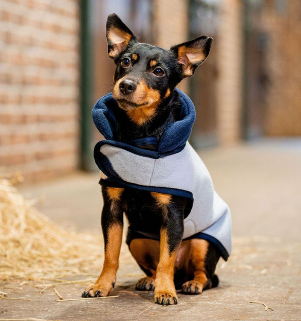 Manteau pour chiens en polaire Signature Horseware