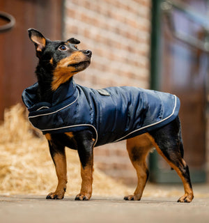Manteau pour Chien Horseware® Signature 200g