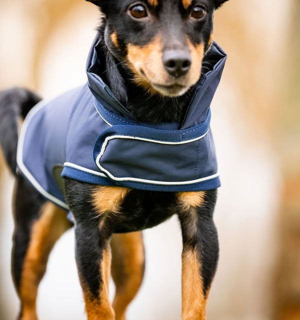 Manteau imperméable pour chiens Signature Horseware