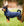 Cappotto impermeabile per cani Signature <tc>Horseware</tc>