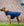 Imperméable pour Chien Horseware® Signature 100g