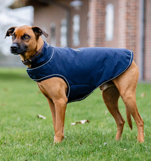 Imperméable pour Chien Horseware® Signature 100g