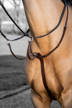 IT03726_lifestyle_arikarunningmartingale_havana_silver_1