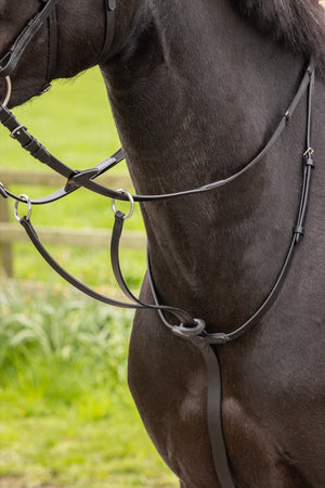 IT03729_lifestyle_arikarunningmartingale_black_1