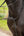 IT03729_lifestyle_arikarunningmartingale_black_2