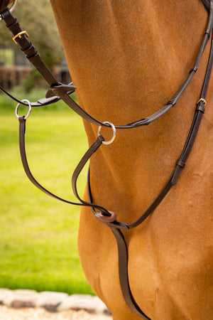 IT03730_lifestyle_arikarunningmartingale_brown_silver_1