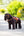 IT03850_lifestyle_toyponywesternsaddle_brown_3