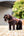IT03850_lifestyle_toyponywesternsaddle_brown_5