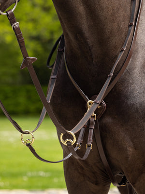 IT03916_lifestyle_kudosrunningmartingale_havana-brass_1