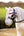 IT04218_lifestyle_toyponyshowingbridle_black_1
