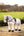 IT04218_lifetyle_toyponyshowingbridle_black_3