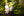 IT04218_lifetyle_toyponyshowingbridle_black_6