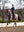 Sous-pull Mia Mesh LeMieux noir porté à cheval