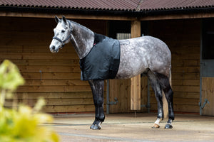 Protection de poitrail LeMieux noire sur le cheval
