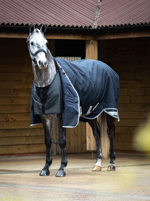 Protection de poitrail LeMieux noire en situation
