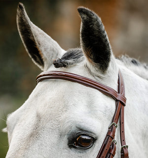 Bridon Hunter Horseware® avec Rênes Lacées