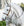 Bridon Hunter Poney Horseware® avec Rênes Lacées