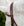 Bridon Hunter Poney Horseware® avec Rênes Lacées