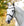 Bridon Horseware® Muserolle Française