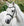 Bridon Poney Horseware® Muserolle Française