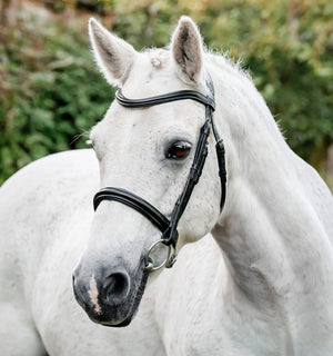 Bridon Poney Horseware® Muserolle Française
