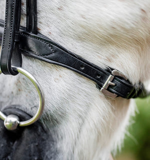 Bridon Poney Horseware® Muserolle Française