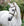 Bridon Poney Horseware® Muserolle Française
