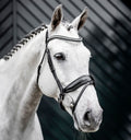 Image for Testiera Horseware® Diamante Flash – Cuoio verniciato e strass