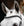 Bridon Horseware® Diamante Flash