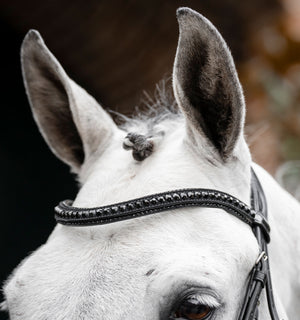 Bridon Horseware® Diamante Flash