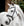 Bridon Horseware® Diamante Flash