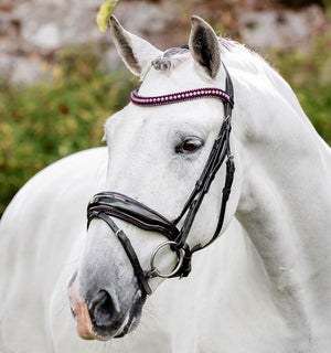 Bridon Horseware® Diamante Flash